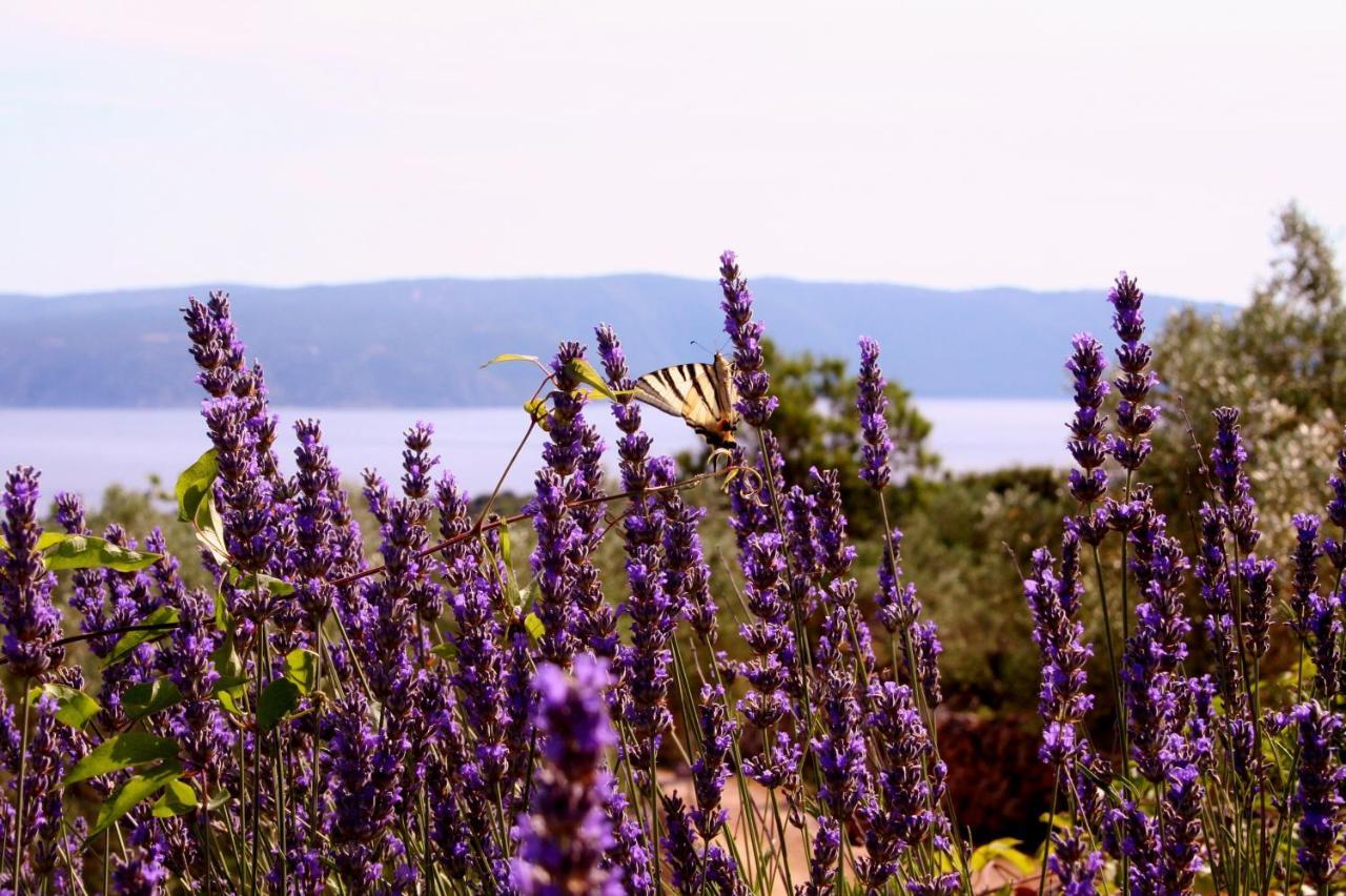 Boutique B&B Agroturizam Sv. Juraj Vrh  Εξωτερικό φωτογραφία